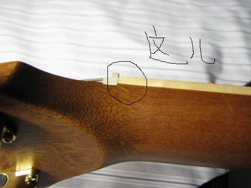 复件 IMG_1024.JPG
