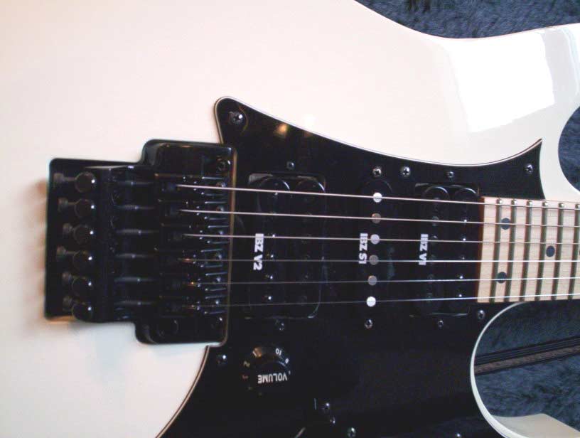 rg5504.jpg