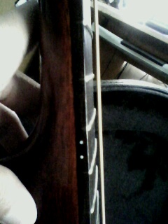 IMG0084A.jpg