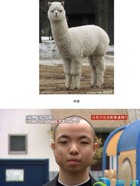 未命名.jpg