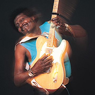 Albert+Collins.jpg