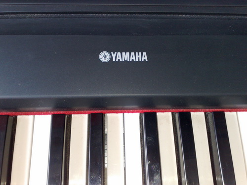 20100703199.jpg