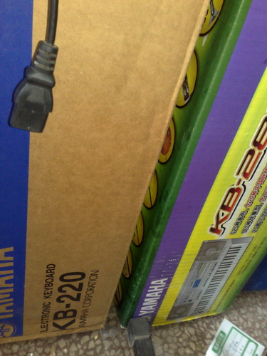 20100703197.jpg