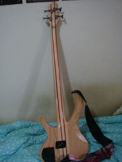 8900.jpg