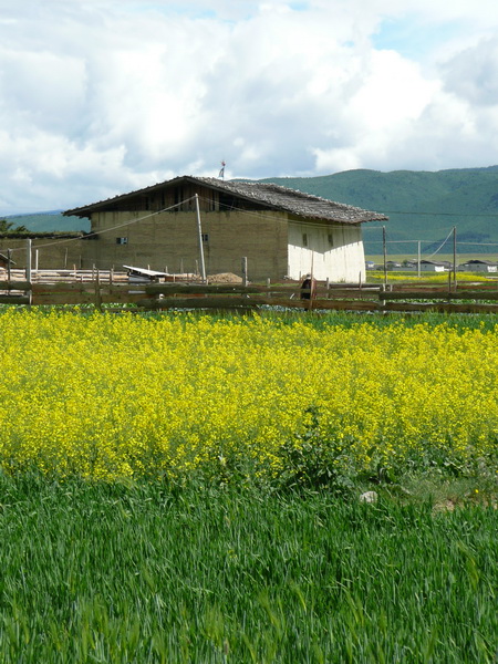P1040794_调整大小.JPG
