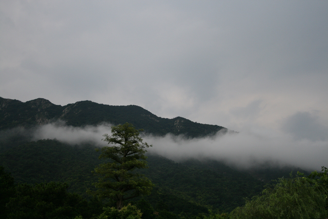 IMG_0011 1.jpg
