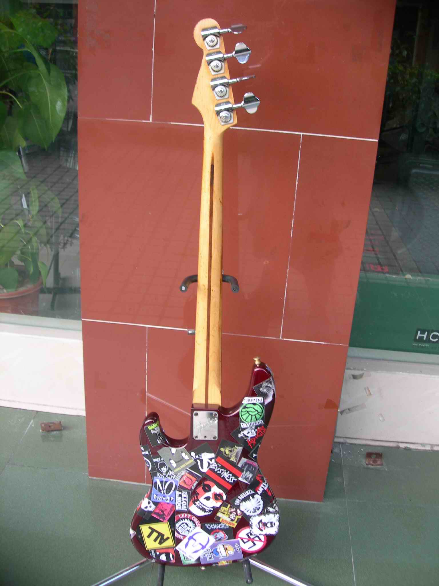 DSCN4598.jpg