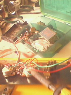 IMG0721A.jpg
