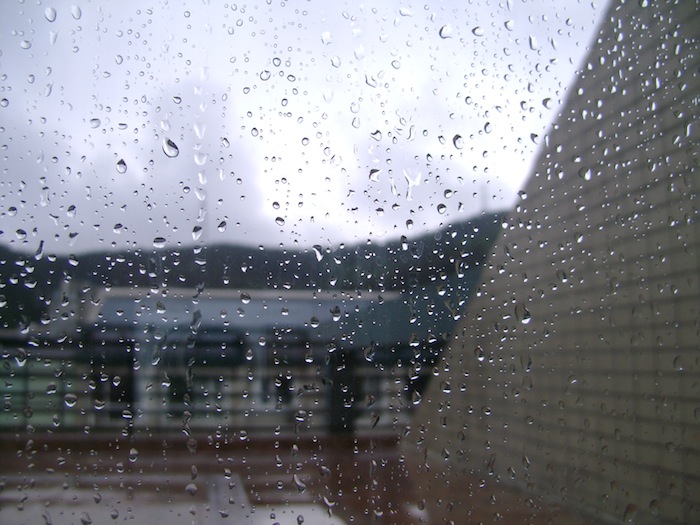 雨后.JPG