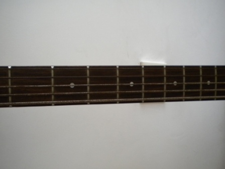 DSCN0749.JPG