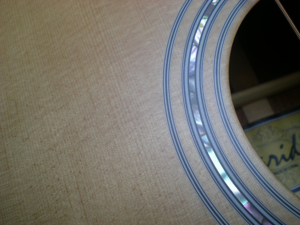 DSCN6223.jpg