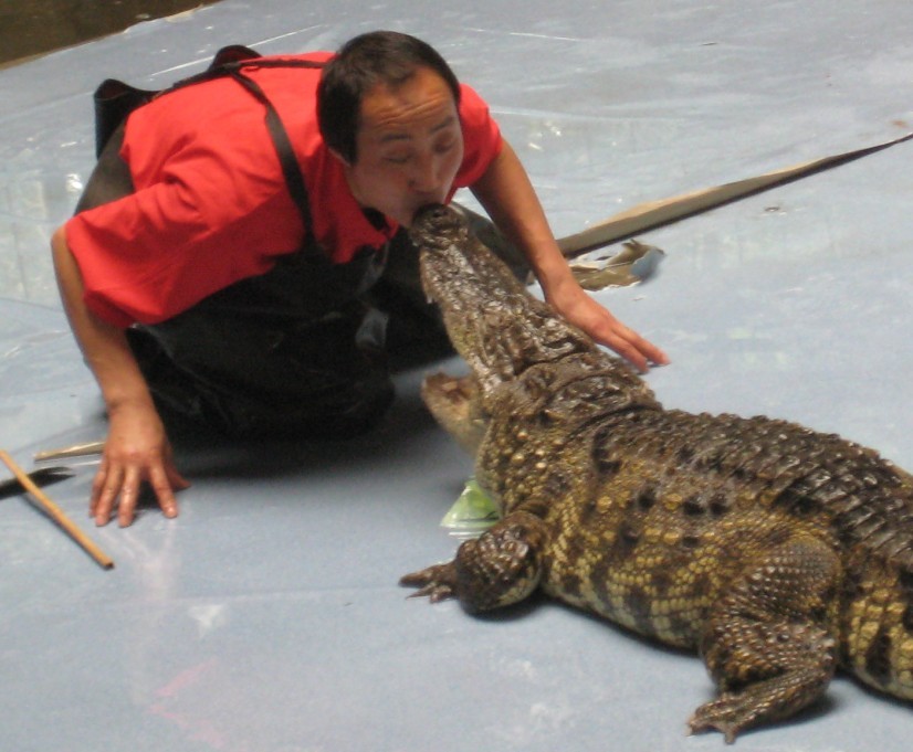 人龙传说.jpg