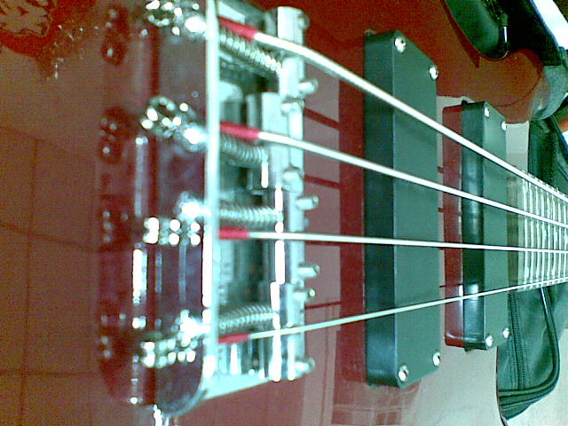 20100427_008.jpg