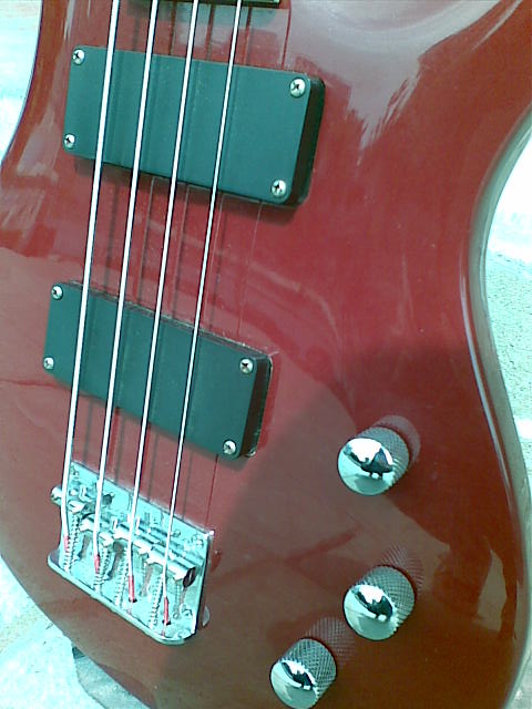 20100427_010.jpg