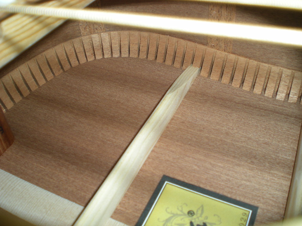 DSCN6211.jpg