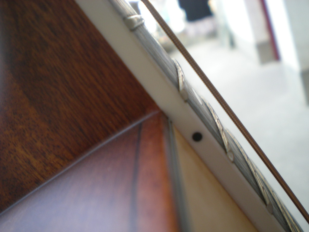 DSCN6231.jpg