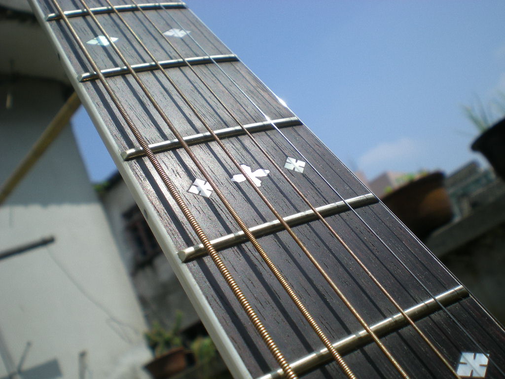 DSCN6241.jpg