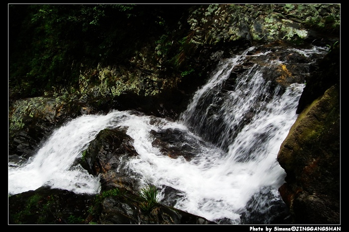 DSCF1431.jpg