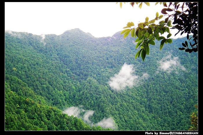 DSCF1354.jpg