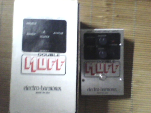 IMG0363A.jpg