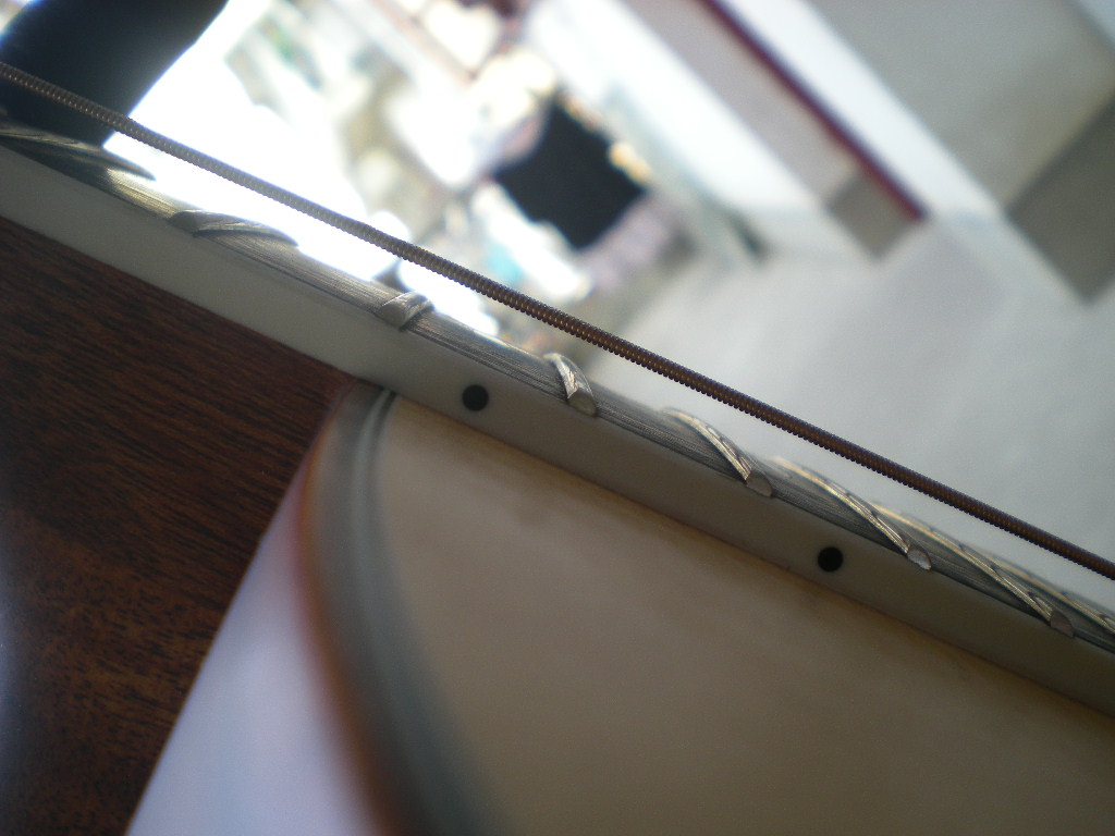 DSCN6230.jpg
