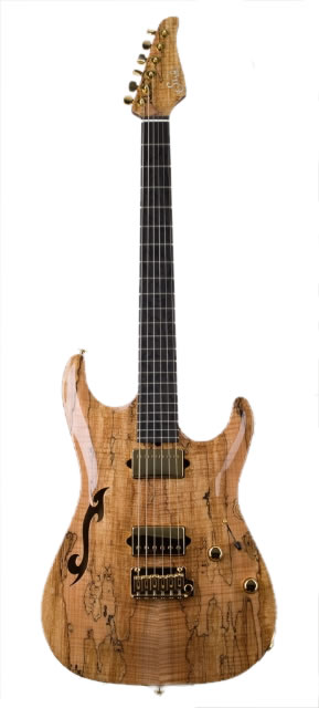 Exotic_Archtop_Std_Spalt_01.jpg