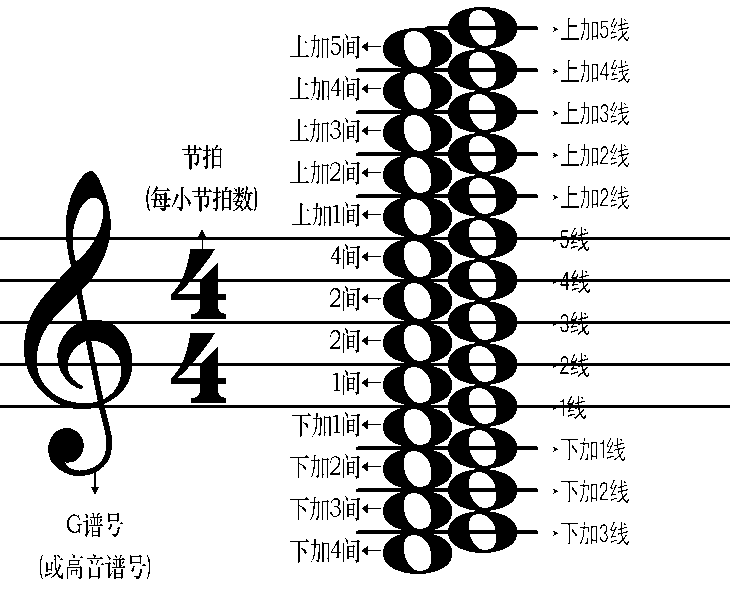 五线谱.gif