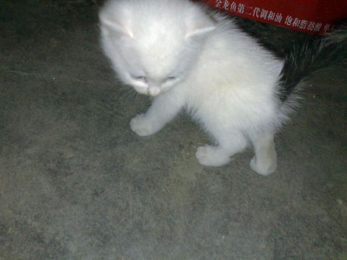 20100720707.jpg