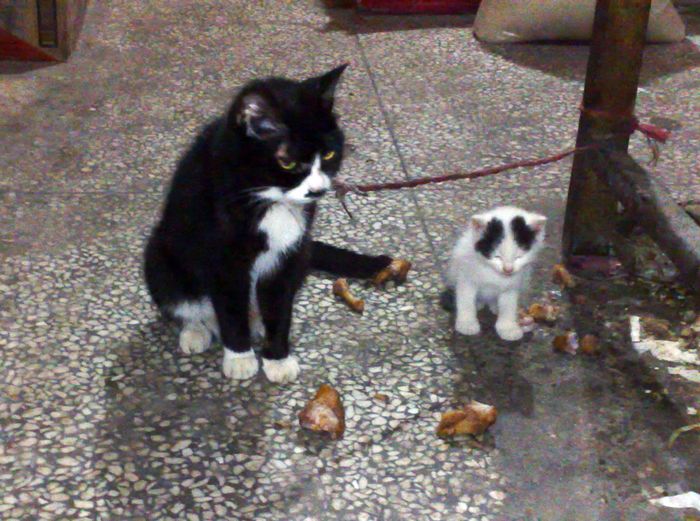 20100720709.jpg