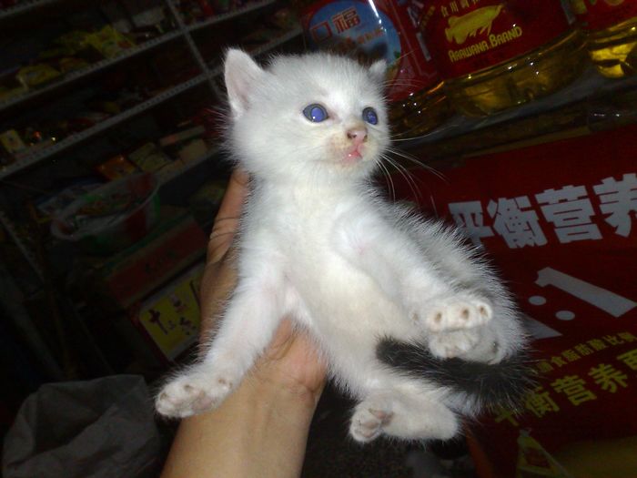 20100720706.jpg