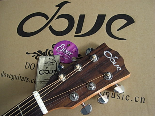 DOVE DD26C-2.jpg