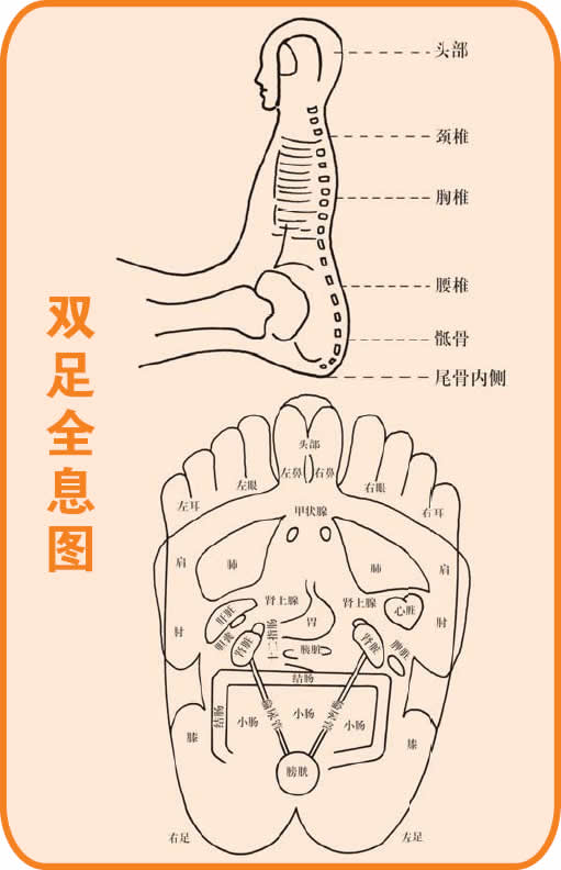 反射图－足－双足全息图－02.jpg