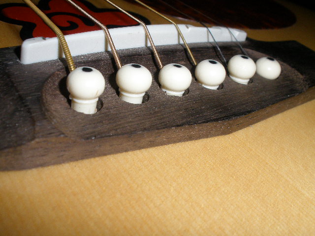 P8030006.JPG