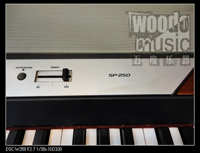 KORG SP250 2.JPG