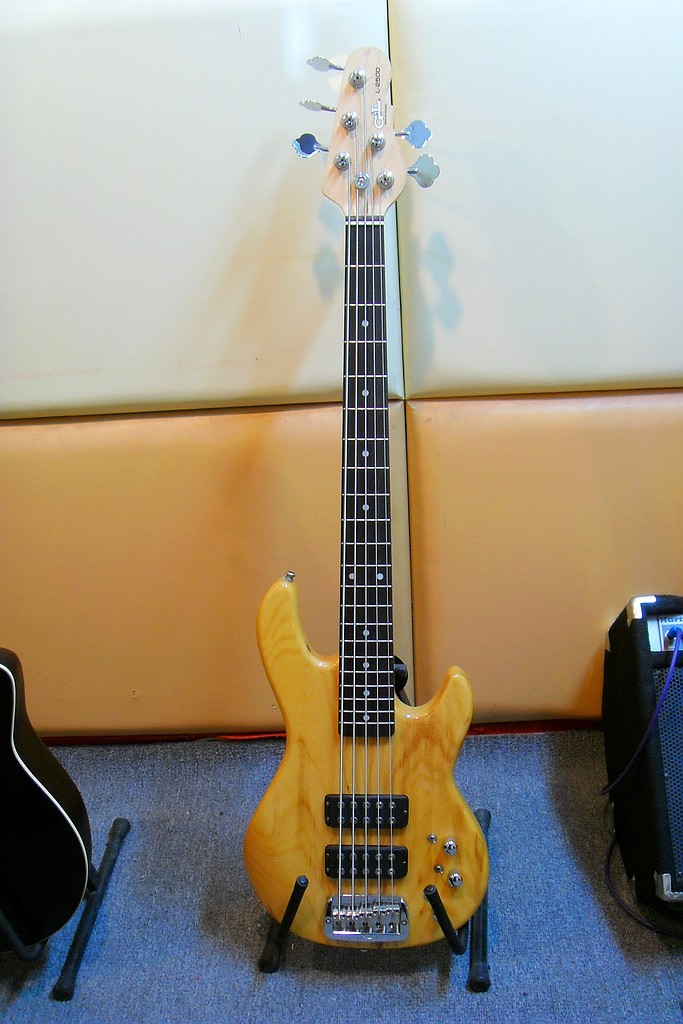 SDC12376.JPG