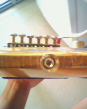 IMG0247A.jpg