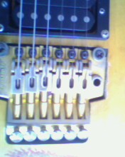IMG0236A.jpg
