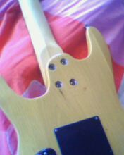 IMG0233A.jpg