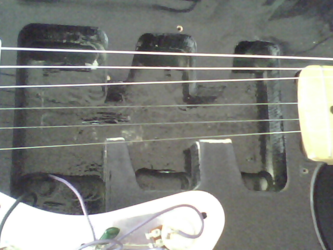 IMG0073A.jpg