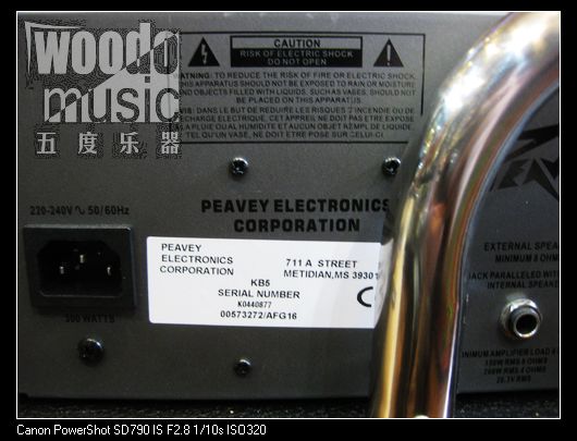PEAVEY KB5 6.JPG