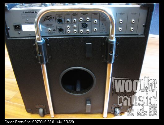 PEAVEY KB5 5.JPG