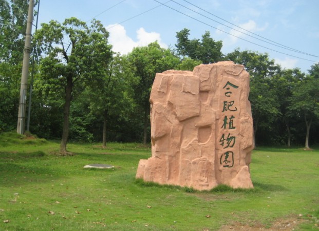 合肥植物园.jpg
