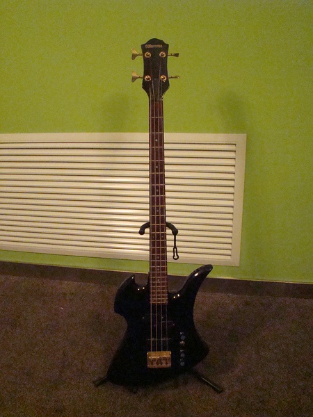 bass2.jpg