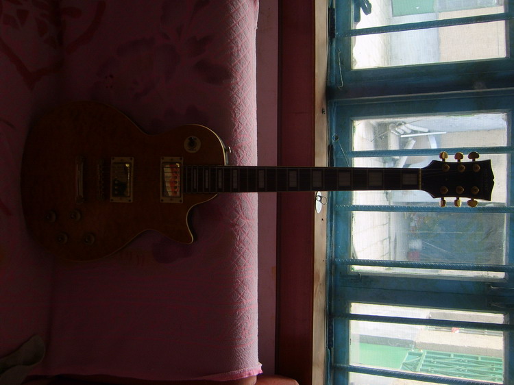 S6002246.JPG