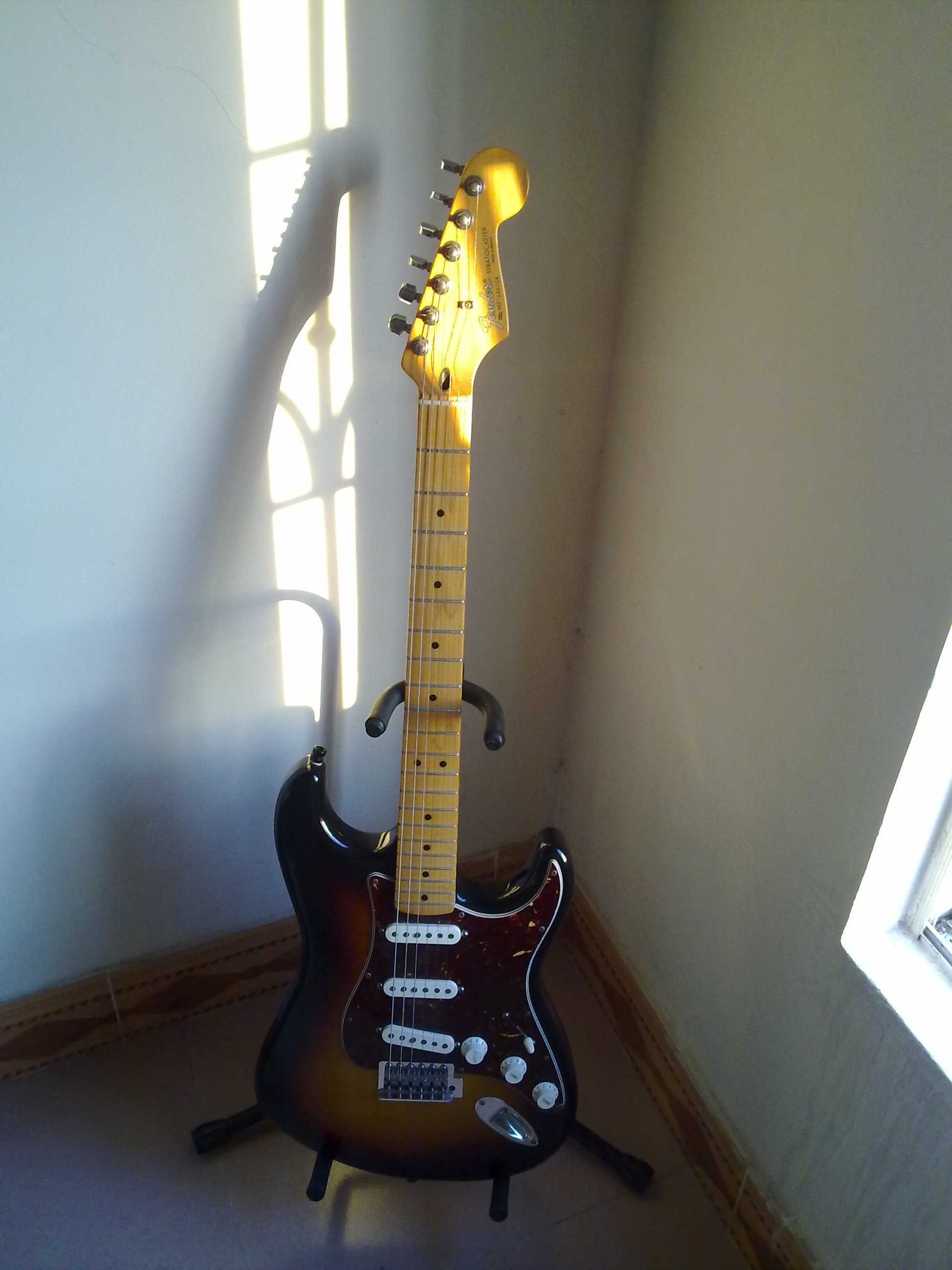 20100817778.jpg