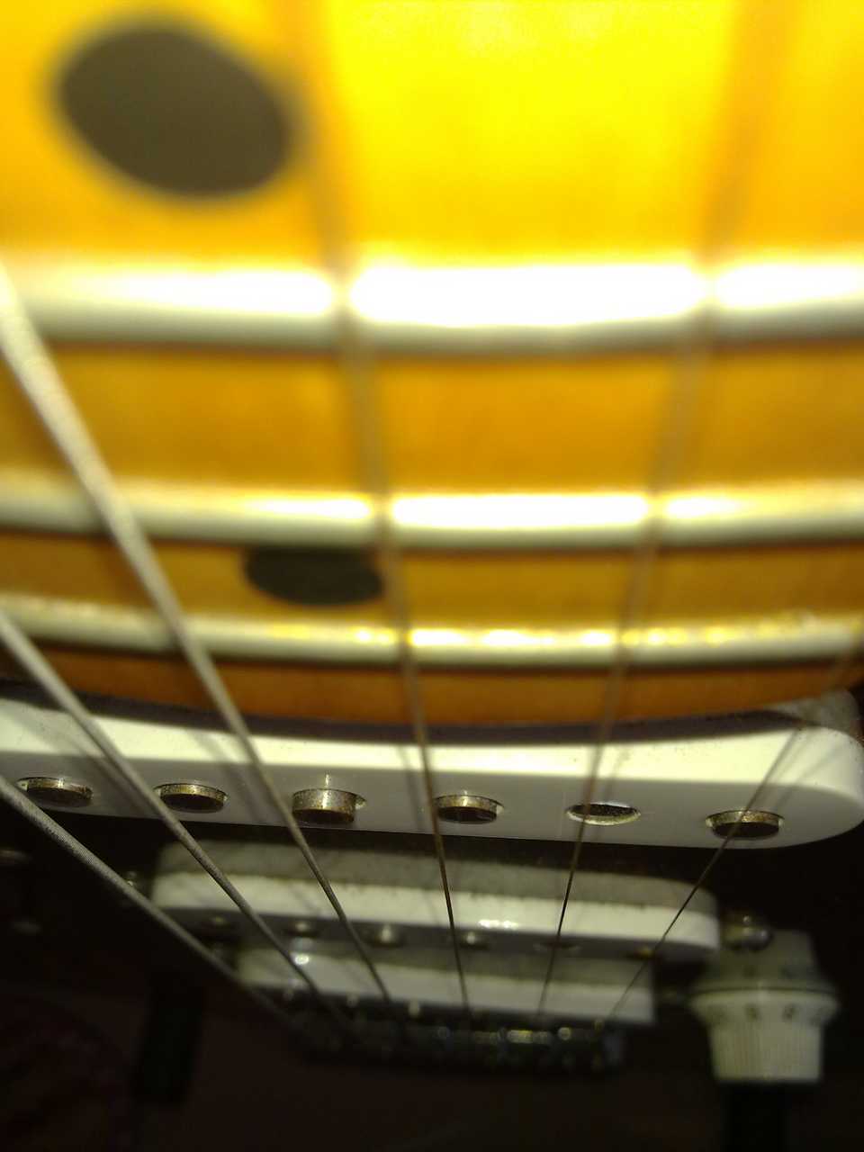 20100817784.jpg