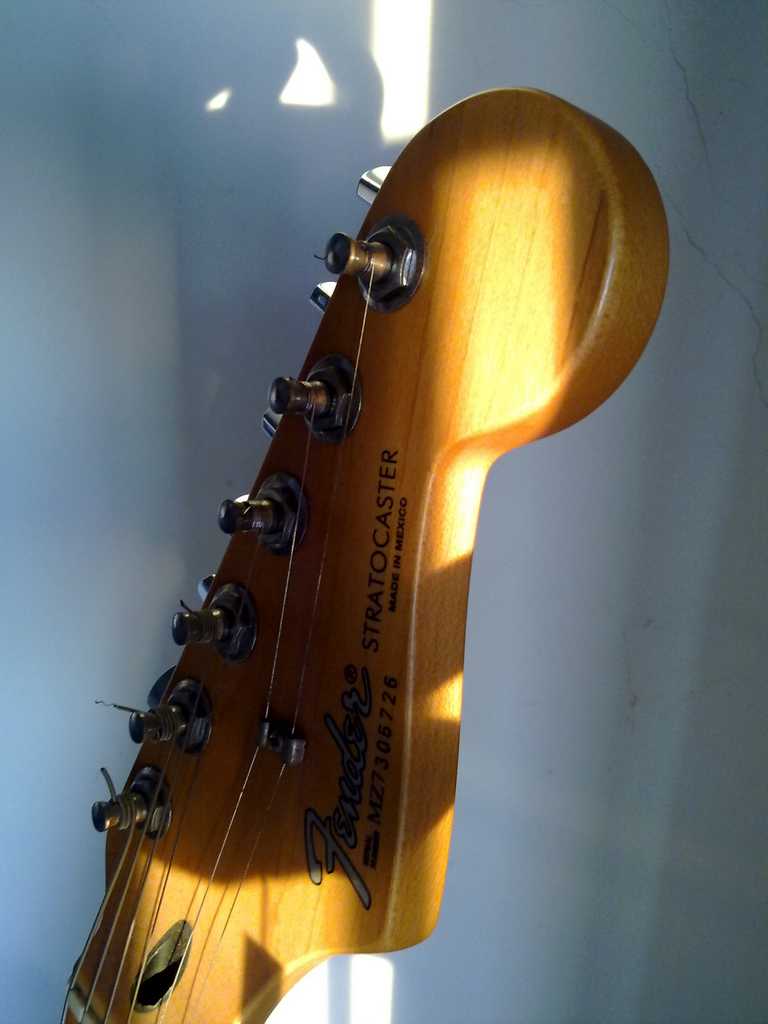 20100817781.jpg