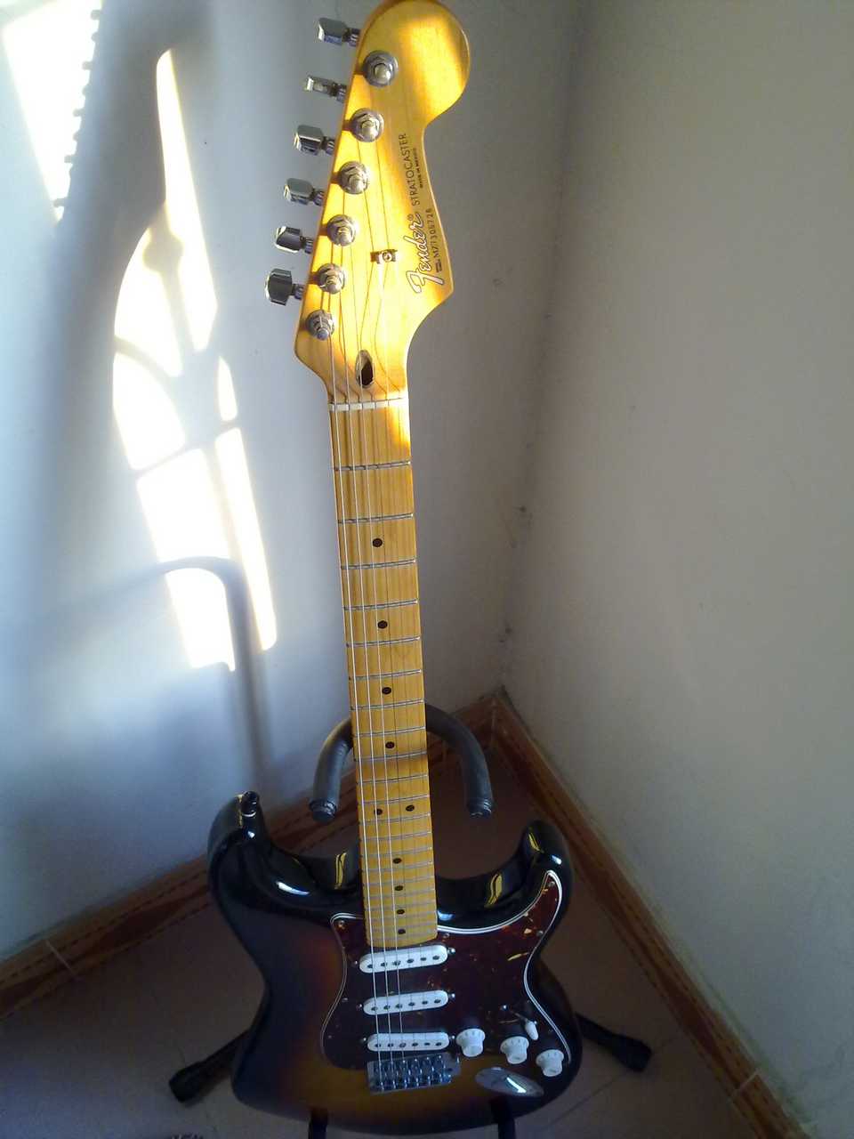20100817783.jpg