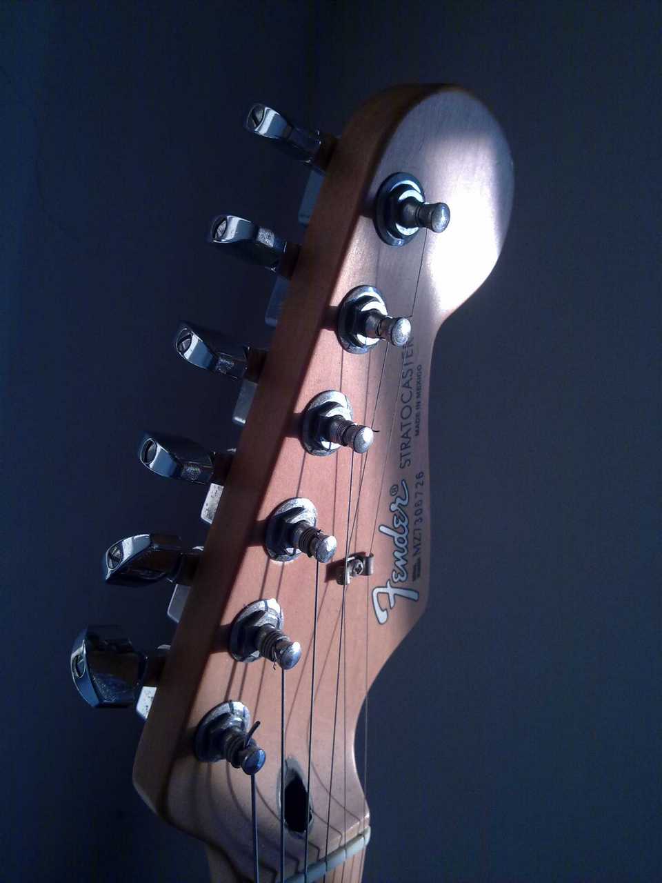 20100817779.jpg