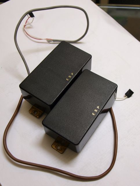 ESP3.JPG